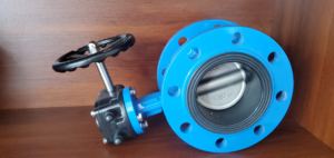 WCB دليل الجسم مع شفة الفولاذ المقاوم للصدأ EPDM لوسائط المياه - Product Image 4