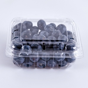 Emballage en plastique recyclé pour fruits <span class=keywords><strong>Lesui</strong></span> 125g, boîte transparente pour fruits, baies, myrtilles, conteneur à clapet avec trous - Product Image 4