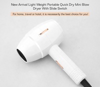 Sèche-cheveux de voyage portable à moteur DC ionique léger 1200W-1400W, personnalisable OEM, avec buse concentrateur – Vente chaude