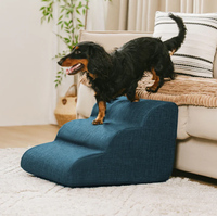 Échelle pour animaux de compagnie d'extérieur, livraison directe d'usine, avec housse amovible, matériau durable, design pliable pour chats et chiens