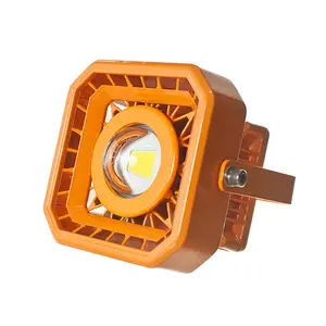 Hazardous Area Class 1 Div 2 Zone 1 2 Petrol Station ATEX Explosion Proof LED LIGHT Lamp