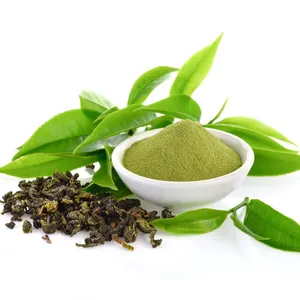 Poudre d'extrait de thé vert biologique 95% , EGCG, polyphénols, poudre de thé vert instantané