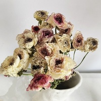 Bunga Peony Kering Alami Grosir Lisianthus Kering Warna-warni Ranunculus Kering Asiaticus untuk Dekorasi Rumah