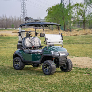Carrito de Golf de 2 Plazas a Precio Mayorista, con Color y Logotipo Personalizados, para Atracciones Turísticas, Campus y Parques, Diseño Premium de Alta Gama - Product Image 4