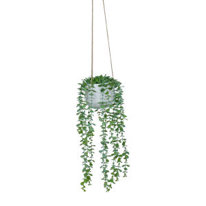 Plantes murales <span class=keywords><strong>en</strong></span> plastique suspendues dans un <span class=keywords><strong>pot</strong></span> <span class=keywords><strong>en</strong></span> céramique 63cm accrocher une ficelle de perles dans un <span class=keywords><strong>pot</strong></span> <span class=keywords><strong>en</strong></span> céramique et 60cm cintre - Product Image 6