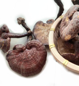 Bán Trực Tuyến Giá Rẻ Bổ Sung Nấm <span class=keywords><strong>Ganoderma</strong></span> Gyrophora Khô Toàn Bộ Cơ Thể Để Bán - Product Image 4