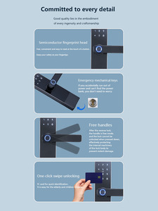 <b>Smart</b> Fingerprint Door <b>Lock</b> Stainless Steel Grade C Steel Door Unlock - Product Image 6
