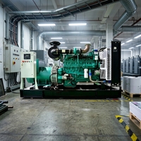 Groupe électrogène diesel triphasé certifié Euro3 de 250KW, 300KW, 350KW, 400KW, 450KW, 500KW, 625KVA pour utilisation intensive en Afrique
