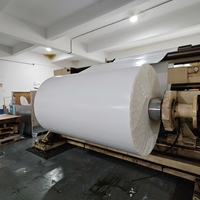 Rouleau géant d'étiquettes à transfert thermique en papier couché semi-brillant avec matériaux vinyle et PE, adhésif thermofusible résistant à la chaleur