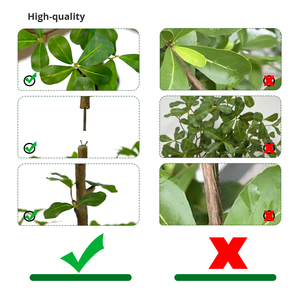 Plastic <b>Artificial</b> Terminalia Mantaly <b>Tree</b> UV Resistant Eco-Friendly Fire Retardant Customizable Height Modern Home <b>Outdoor</b> - Product Image 3