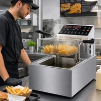 Friteuse électrique automatique professionnelle 6L 3.5kW à levage automatique pour restaurants, snack-bars et fournisseurs de services alimentaires
