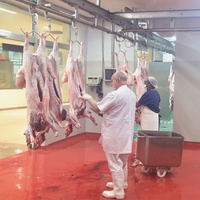 Equipo de matanza de ovejas/cabras/corderos adecuado para proyecto llave en mano de matadero