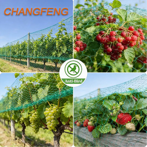 Malla Protectora <span class=keywords><strong>para</strong></span> Jardín, Protege Plantas de Vegetales y Árboles <span class=keywords><strong>Frutales</strong></span>, Malla de Plástico <span class=keywords><strong>para</strong></span> Pájaros, Ardillas y Otros Animales - Product Image 6