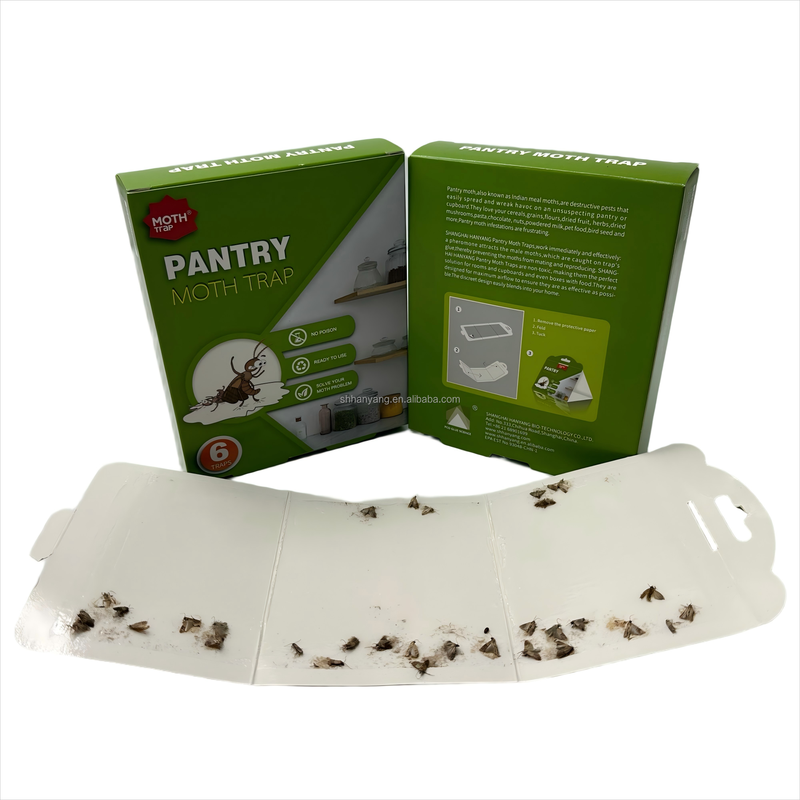Pheromone Attractant Adhesive Glue Clothes Moth