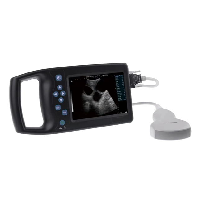 Good Wholesale Price Digital Veterinary Ultrasound Machine Black and White Ultrasound Scanner with Convex Vet Monitoring Device