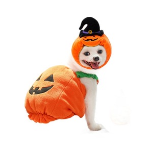 Disfraz de Calabaza de Halloween para Perro con Sombrero de Bruja, Ropa Acolchada de Algodón para Mascotas, Atuendo Divertido para Perros Pequeños - Product Image 3