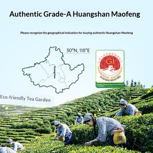 Nouveau <span class=keywords><strong>Thé</strong></span> Vert <span class=keywords><strong>Huangshan</strong></span> <span class=keywords><strong>Maofeng</strong></span> 2026, Grade Spécial Pré-Ming Maojian, Anhui, Durée de Conservation 18 Mois, Sac de 500g, Vente en Gros Usine - Product Image 4