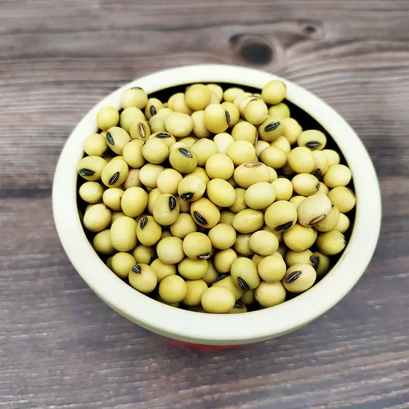 Venda quente liangtian alta qualidade soja alto desempenho de custo NON-GMO feijão de soja amarelo seco a granel com melhor preço