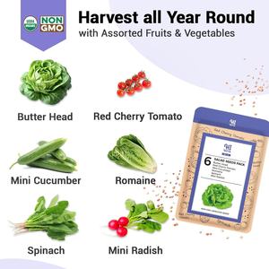 Kit hydroponique 8 dosettes tête de beurre de tomate cerise rouge épinards romains <span class=keywords><strong>mini</strong></span> pots de fleurs et jardinières <span class=keywords><strong>en</strong></span> concombre - Product Image 3