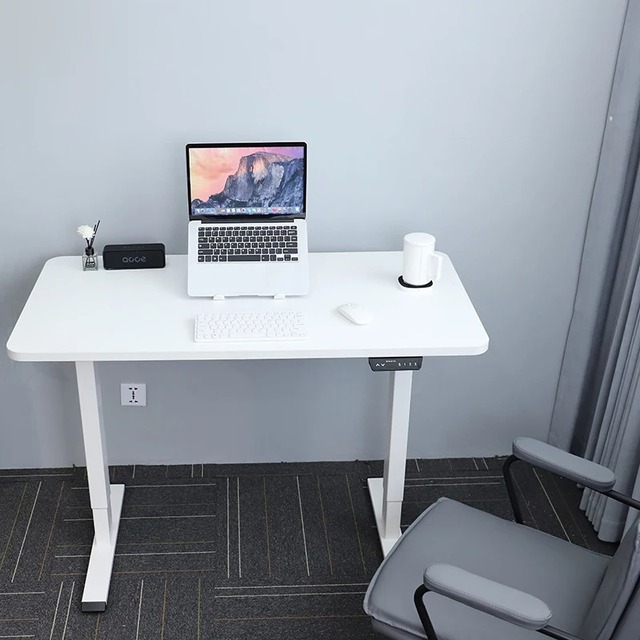 Ergonomic Dual Motor Electric Workstation Modern Design Sit-to-Stand Height Adjustable Standing Desk Height Adjustment Table
