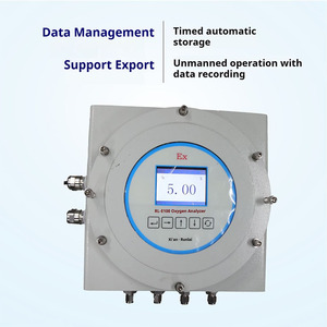 Runlai Easy Operation E100 Explosion Proof Oxygen O2 Gas Analyzer Digital LCD Display Customizable Oxygen Detector - Product Image 4