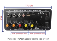 D30 Home untuk Amplifier 5.0 Input MIC Ganda Kontrol Jarak Jauh Output 25W DC12V/24V AC220V Mini Mono