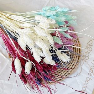 Konserviertes Gras Krone der Dornen Trocken blumen arrangement Hochzeit Diy Material Natürlicher getrockneter Pflanzens trauß - Product Image 6