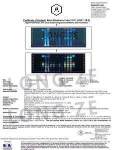 Poudre d'extrait <span class=keywords><strong>de</strong></span> Fruit <span class=keywords><strong>de</strong></span> mûrier <span class=keywords><strong>noir</strong></span> européen 25% anthoyanidines - Product Image 6