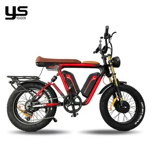 20Inch 22Ahx2 Dual Batteries Ebike 1000W 48V MTB Fat Tire Electric Bike Full Suspension Bicycle Off Road Ebike