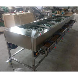 Máquina Automática de Clasificación y Calibración de Frutas y Verduras para Plantas de Procesamiento, 3 Niveles, Velocidad Ajustable - Product Image 3