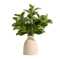 Ensemble de 4 petites plantes artificielles d'eucalyptus vert et de succulentes Winter Shore, décoration intérieure rustique durable pour salle de bain/bureau