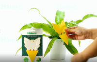 Piège à insectes collant jaune suspendu pour jardin, verger et serre