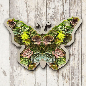 <span class=keywords><strong>Vasi</strong></span> <span class=keywords><strong>per</strong></span> <span class=keywords><strong>Piante</strong></span> <span class=keywords><strong>Grasse</strong></span> a Forma di Tartaruga in Legno, Mini <span class=keywords><strong>Vasi</strong></span> <span class=keywords><strong>per</strong></span> Succulente e Bonsai, Vendita all'Ingrosso - Product Image 3