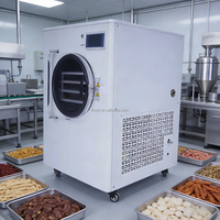 Mini Liofilizador Doméstico de 6-8KG/Batch, Máquina Liofilizadora Económica para Uso Casero