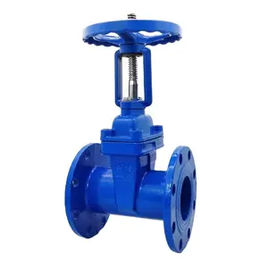 Flange Type Non-Rising Stem Resilient Stem Soft Sealing Ductile Cast Iron Sluice Gate Valve