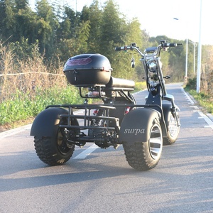 2000w 60v1 2ah/20ah batterie amovible citycoco fat tire 3 roues scooter électrique canada/tricycle/trike/vélo/<span class=keywords><strong>moto</strong></span> - Product Image 2