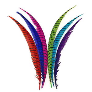 Bán Buôn Chất Lượng Cao Phụ Nữ Ngựa Vằn Gà lôi Đầy Màu Sắc Lông 25-45Inch Cho Lễ Hội Trang Trí - Product Image 2