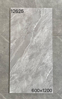 Carreaux de sol en céramique modernes nordiques, grand format 1200*600, gris clair mat, imitation pierre texturée, pour intérieur et entrepôt