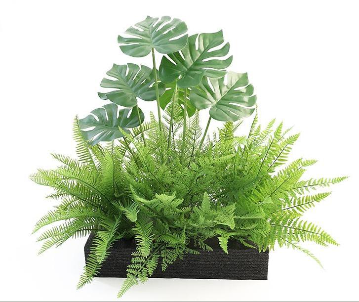 Fairy Green Trail - Set di design per piante verdi 2