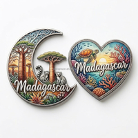 Aimant de réfrigérateur 3D personnalisé en forme de caméléon de Madagascar, collection de souvenirs magnétiques décoratifs à thème animalier pour la vente en gros