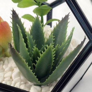 Modèles succulents artificiels en plastique de cactus faits à la main décor de <span class=keywords><strong>fausse</strong></span> verdure pour l'obtention du diplôme à la maison table d'halloween de noël et du nouvel an - Product Image 3
