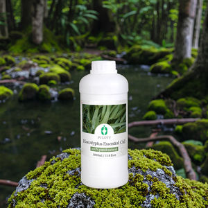 Großhandel 100% Organisches Eukalyptus-Ätherisches Öl für Seife Duftstoff Zahnpasta <span class=keywords><strong>Thai</strong></span>-<span class=keywords><strong>Massage</strong></span> und Lebensmittelzusätze - Product Image 5