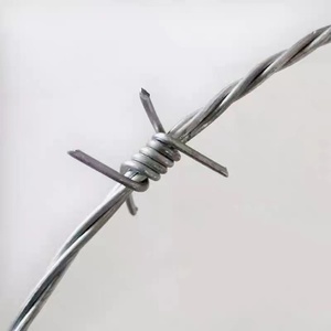 Fil <span class=keywords><strong>barbelé</strong></span> galvanisé à chaud de fabrication usine, rouleau de clôture pour ferme, protection de sécurité – Vente chaude - Product Image 3