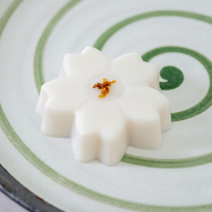 Crème glacée congelée Amande congelée Tofu Dessert Faible en cholestérol Riche en nutriments Sans lactose - Product Image 6