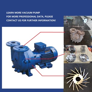 Energy Saving <b>Water</b> Ring 2BV Series Industrial High Ring Vacuum <b>Pump</b> - Product Image 2