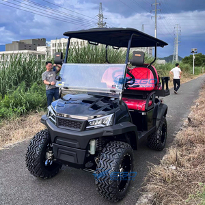 Nuevo Diseño de Carro de Golf a Gasolina con Batería Personalizada, Buggy Todoterreno Económico con Precio de Fábrica - Product Image 4