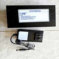 Batterie au lithium Guangzhou Enjoyment 12V 11000mAh pour costumes gonflables de mascotte géante et tenues de fête, en vente