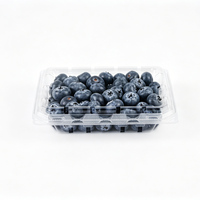Boîte d'emballage en plastique transparente pour myrtilles, 185 g |   Barquette à fruits articulée en PET transparent avec trous d'aération et couvercle anti-buée 185A – Vente directe usine