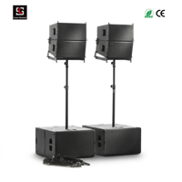 Lasesound Enceinte Line Array Professionnelle Simple 10 Pouces 300W RMS 133dB SPL Max Néodyme Étanche Système Audio de Scène Compact