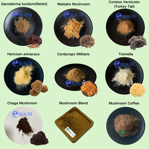 <span class=keywords><strong>Poudre</strong></span> <span class=keywords><strong>de</strong></span> champignons Porcini <span class=keywords><strong>de</strong></span> qualité supérieure, saveur authentique et terreuse, ingrédient écoresponsable pour assaisonnements et formules bien-être - Product Image 4